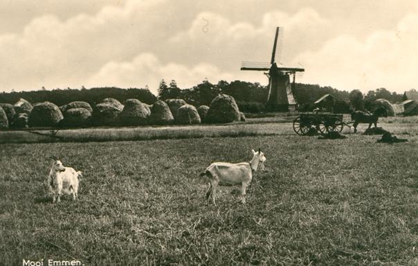 De molen van Eilering en het bos van Wilken