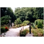 het oude kerkhof