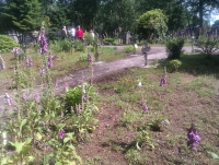 heropening_het_oude_kerkhof_2012.jpg