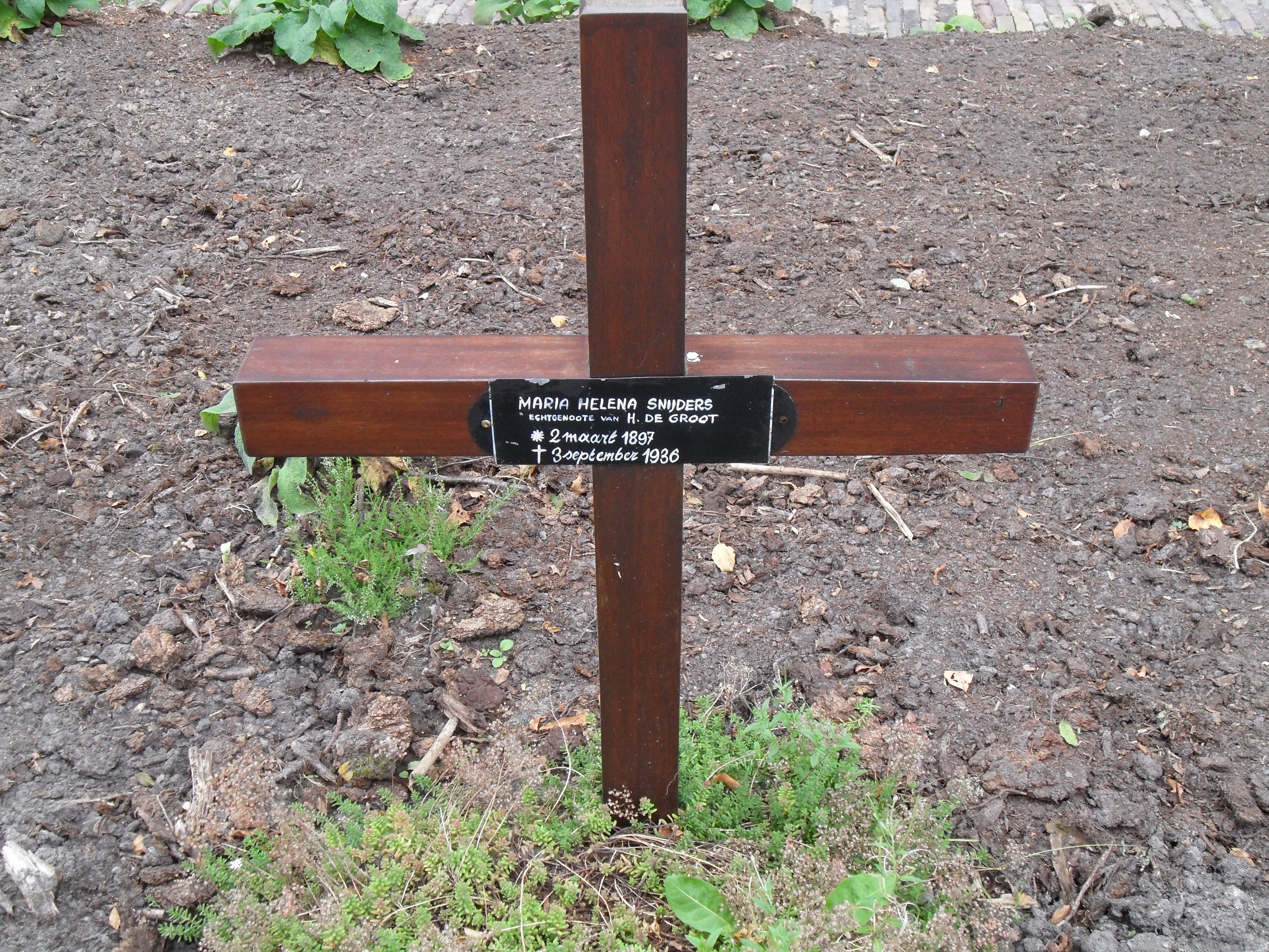 maria_helena_snijders.jpg