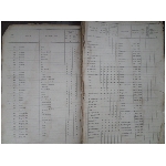 kiezerslijst-voor-de-gemeente-emmen-1918-1919-berends-ten-berge.jpg