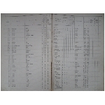 kiezerslijst-voor-de-gemeente-emmen-1918-1919-hadderingh-haringa.jpg