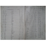 kiezerslijst-voor-de-gemeente-emmen-1918-1919-wiers-willekus.jpg