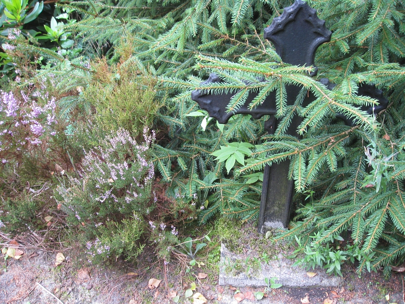 IMG_3775.jpg
