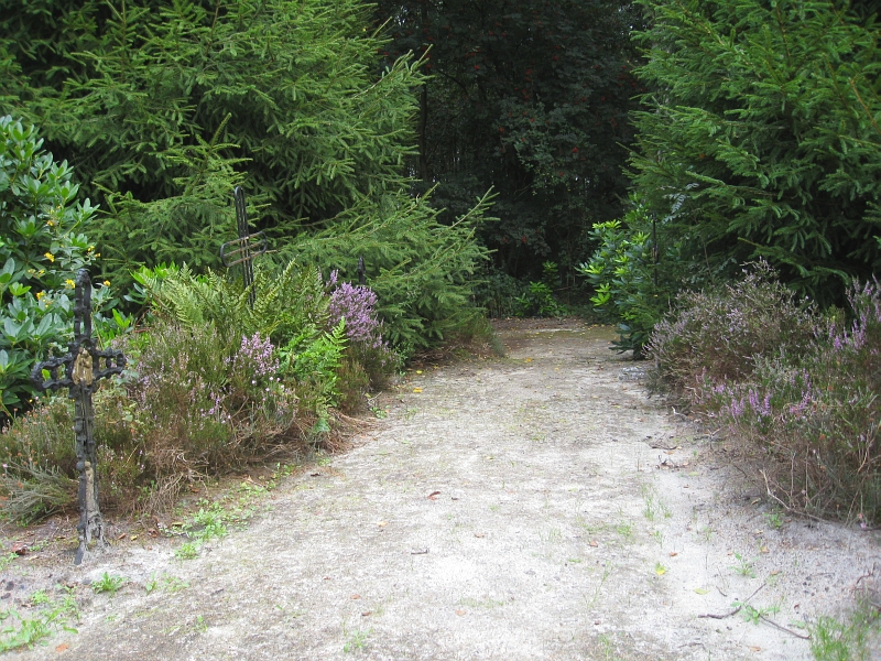 IMG_3779.jpg