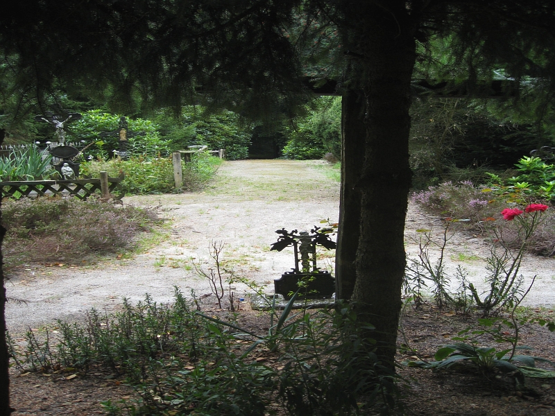 IMG_3787.jpg
