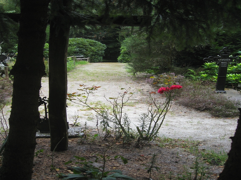 IMG_3788.jpg