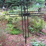 IMG_3699.jpg