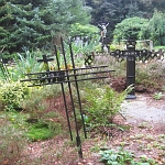 IMG_3700.jpg