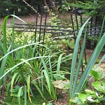 IMG_3718.jpg