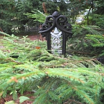 IMG_3720.jpg