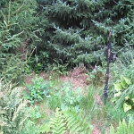 IMG_3731.jpg