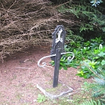 IMG_3733.jpg