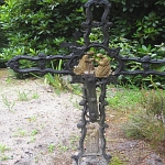 IMG_3735.jpg