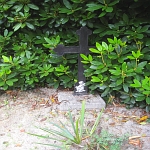 IMG_3736.jpg