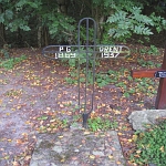 IMG_3755.jpg