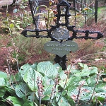IMG_3764.jpg