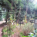 IMG_3766.jpg
