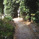 IMG_3768.jpg