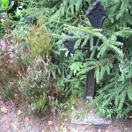 IMG_3775.jpg