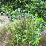 IMG_3776.jpg