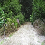 IMG_3779.jpg