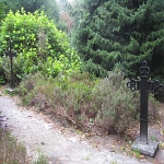 IMG_3784.jpg