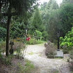 IMG_3785.jpg