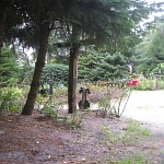IMG_3786.jpg