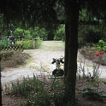 IMG_3787.jpg