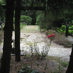 IMG_3788.jpg
