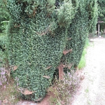 IMG_3791.jpg