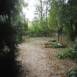 IMG_3793.jpg
