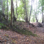 IMG_3797.jpg