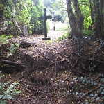 IMG_3798.jpg